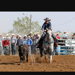 Meet your Posher, Austin